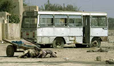 Photo of a dead donkey, still harnessed to a flat-bedded cart with rubber tires, as he lies on the street. Behind him is a small city bus, the wheels flat and glass broken out of the windows. Possibly a human body underneath an olive-green blanket nearby.